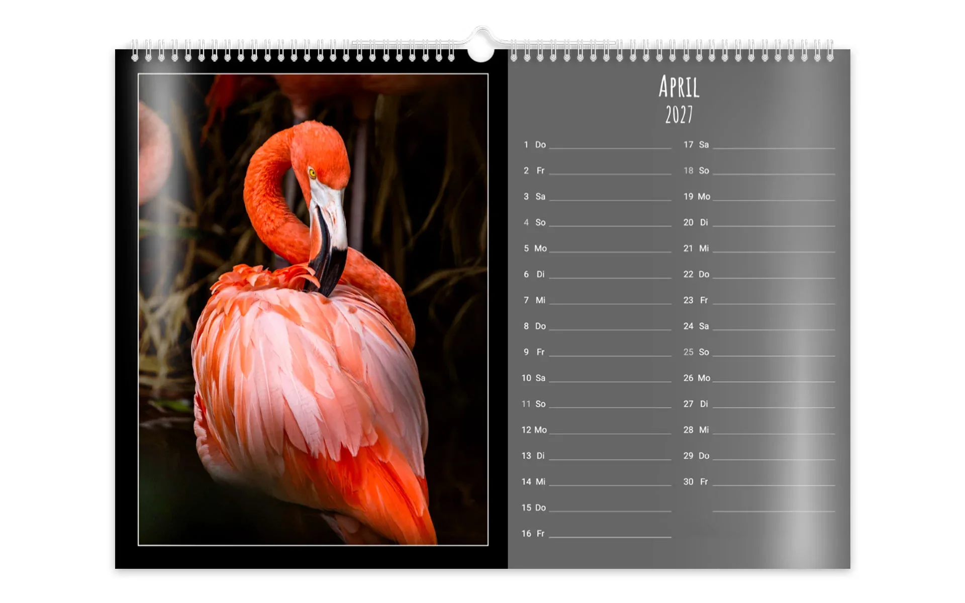 Ein HappyFotokalender ca. A3 quer zeigt ein großes Kalendarium, daneben einen Flamingo vor dunklem Hintergrund.