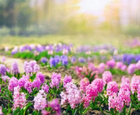 Inspiration Foto-Tipps