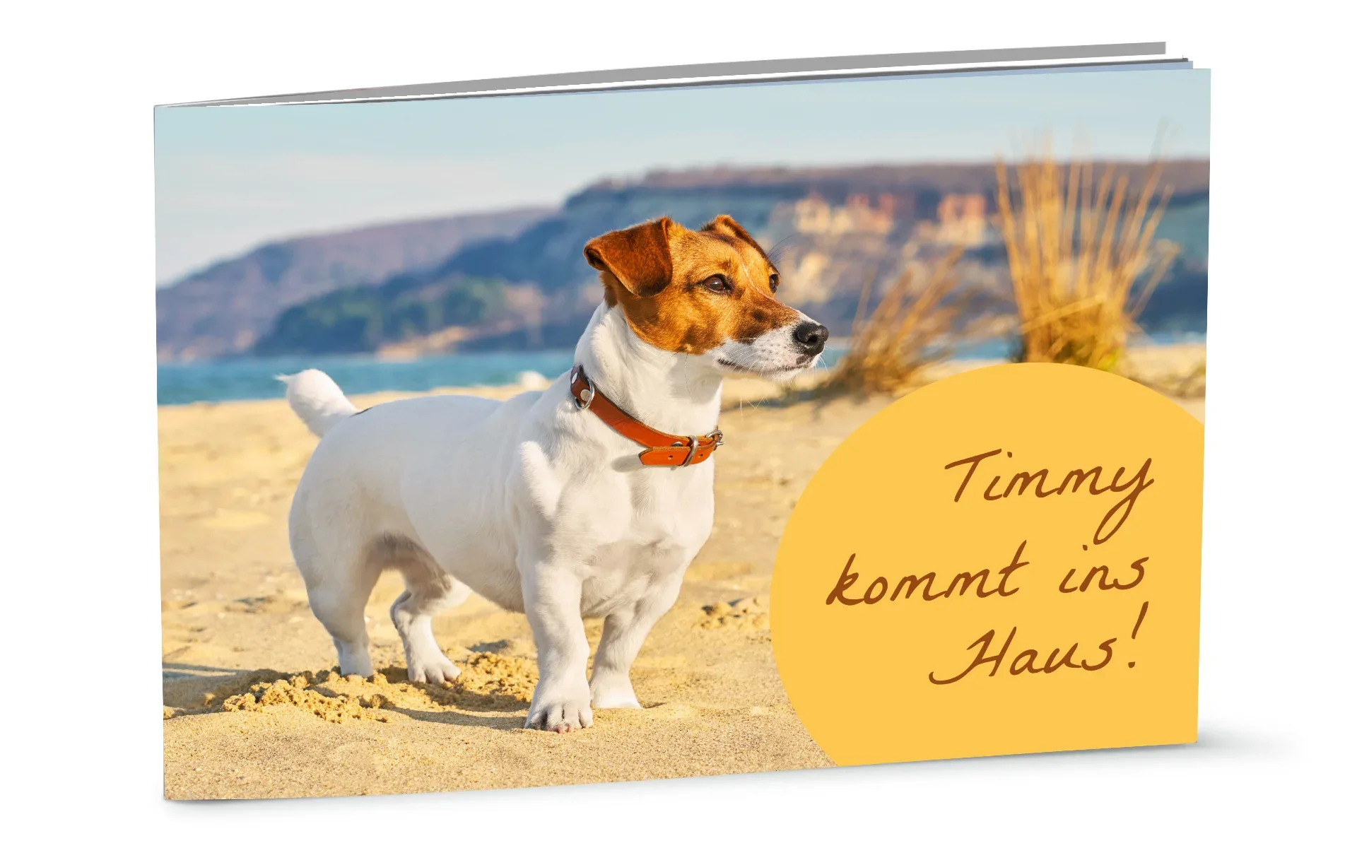 Ein aufgestelltes Happy Fotobuch ca. A4 hoch mit dem Titel Timmy kommt ins Haus zeigt einen Hund am Strand.